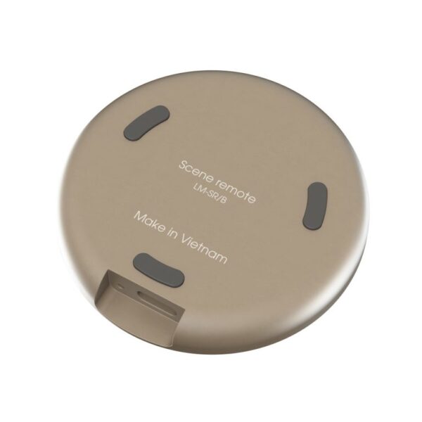 BLE Mesh Scene Switch - Image 3