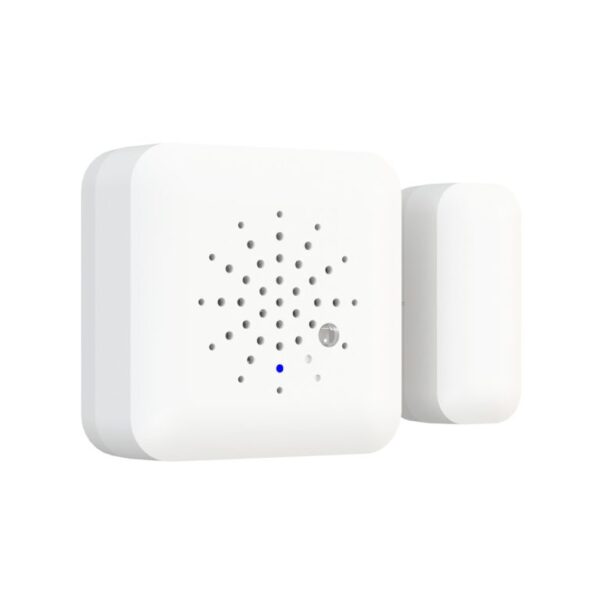 Door Sensor